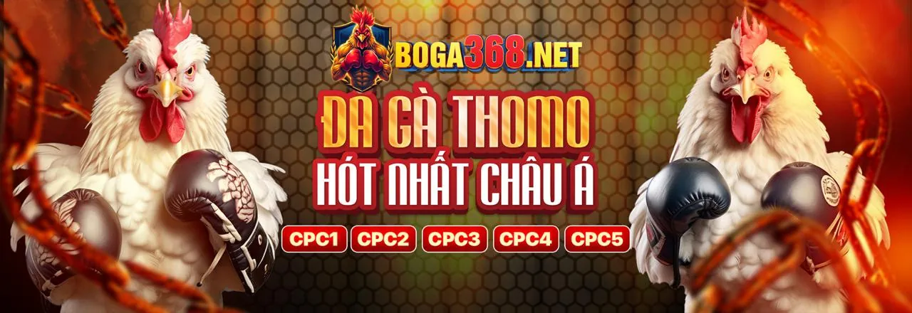 Đá Gà Trực Tuyến 5tt88 Đăng Nhập