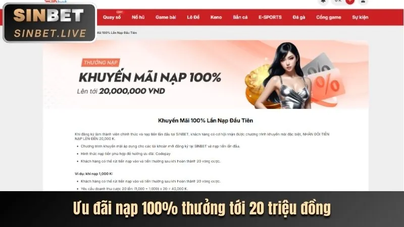 Các cấp độ VIP và hệ thống thưởng 5tt88